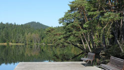edlesberger-teich