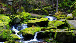 lohnbachfall